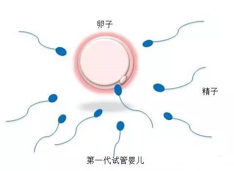 木棉医疗中心